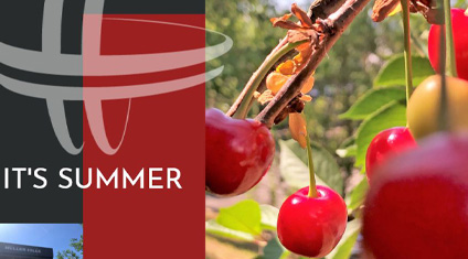 Sommer bei Hüller Hille